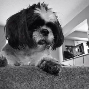 Meet your Posher, Renee